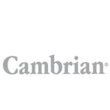 Cambrian grey logo